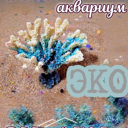 Коралл Веер мини