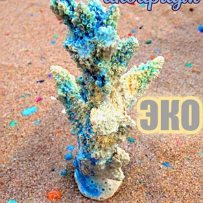 Коралл Робус