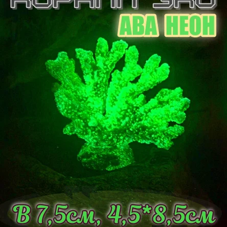 Коралл Веер мини неон