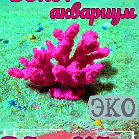 Коралл Кора