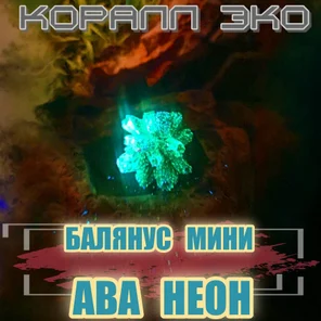 Коралл Балянус мини неон