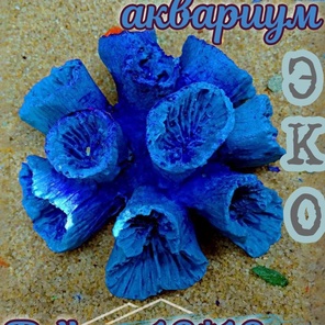 Коралл Клавулария