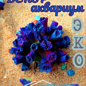 Коралл Клавулар