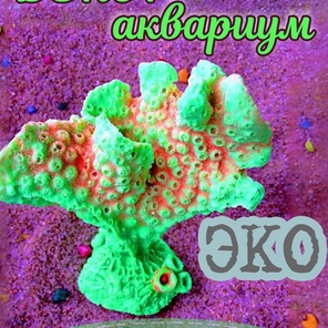 Коралл Горгония