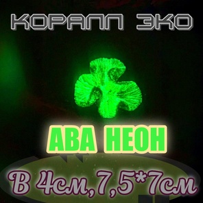 Коралл Симфилия мини неон