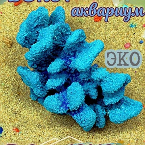 Коралл Портис