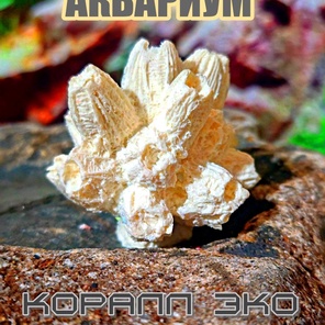 Коралл Балянус мини