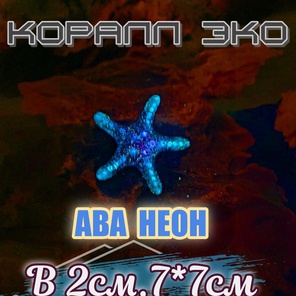 Звезда мини неон