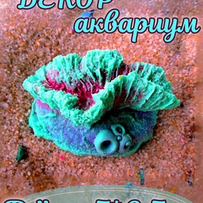 Коралл Остеопора