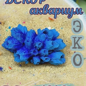 Коралл Балянус