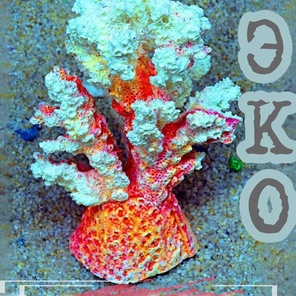 Коралл Мони