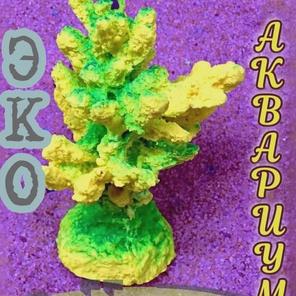 Коралл Моти