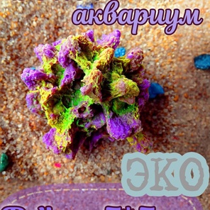 Коралл Капля