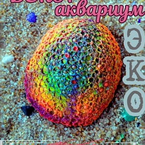 Коралл Мозговик