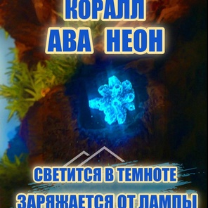 Коралл Балянус мини неон