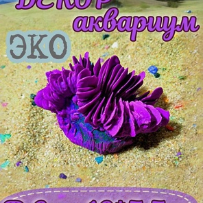 Коралл Гармошка