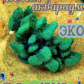 Коралл Портис