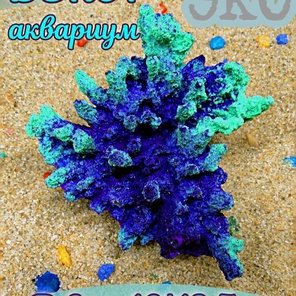 Коралл Агарицида