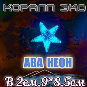 Звезда Морская неон