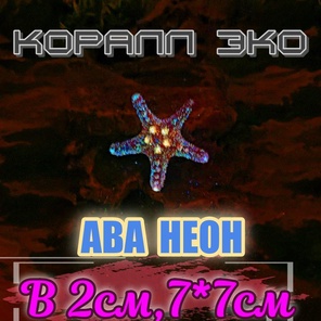 Звезда мини неон