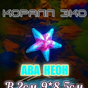 Звезда Морская неон