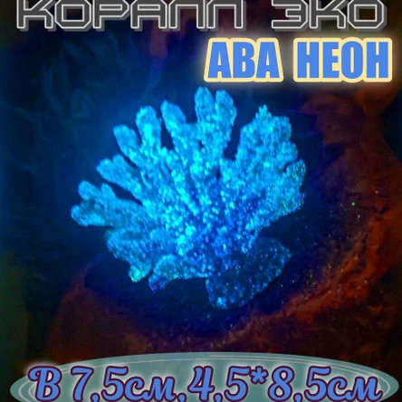 Коралл Веер мини неон