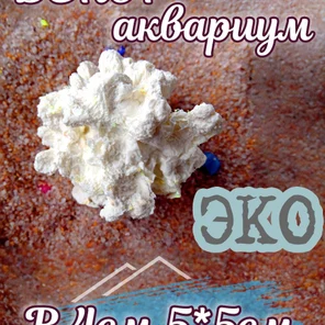 Коралл Капля