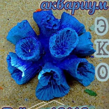 Коралл Клавулария