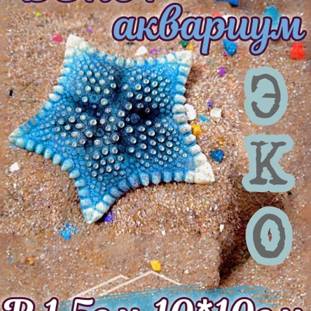 Звезда Печенька