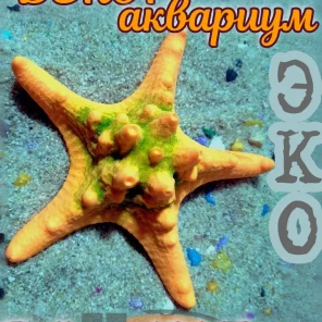 Звезда Острая