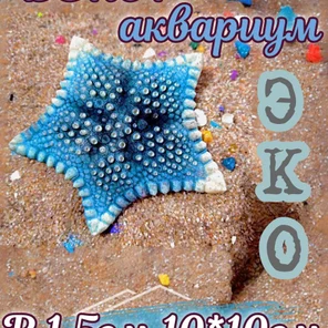 Звезда Печенька