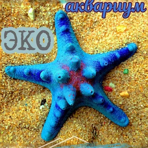 Звезда Острая мини