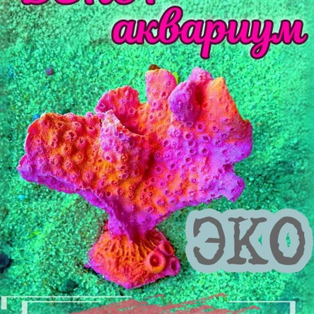 Коралл Горгония