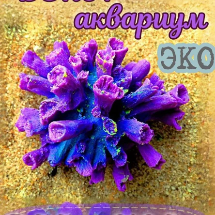 Коралл Клавулар
