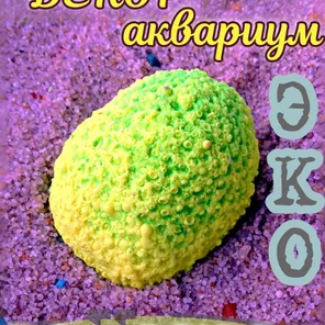 Коралл Мозговик