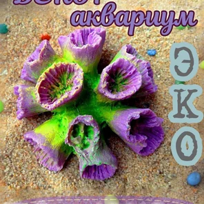 Коралл Клавулария