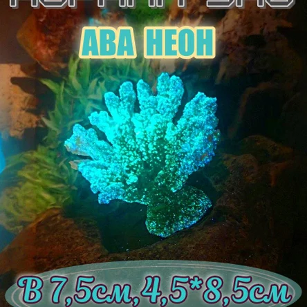 Коралл Веер мини неон