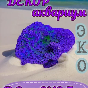 Коралл Чалис