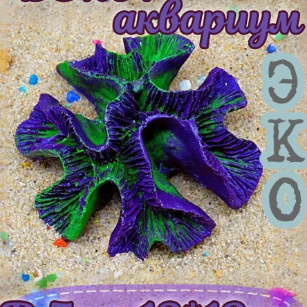 Коралл Симфиллия