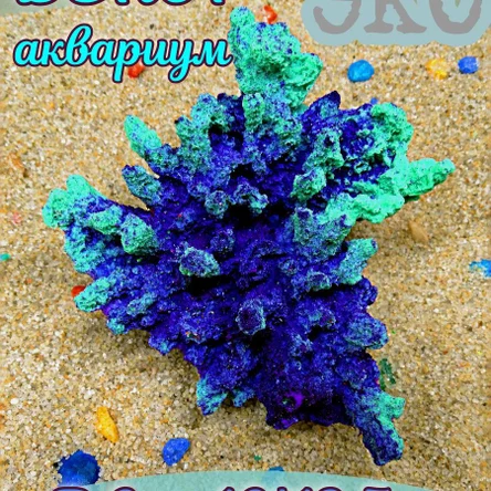 Коралл Агарицида