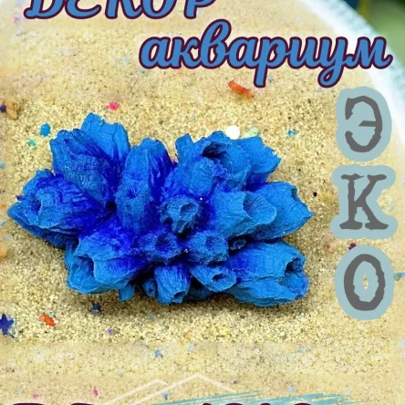 Коралл Балянус