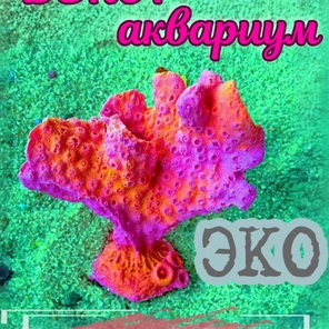 Коралл Горгония