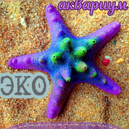 Звезда Острая мини