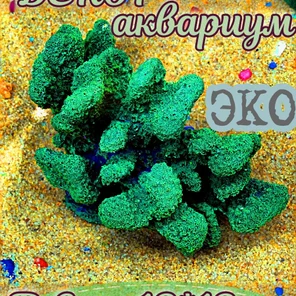 Коралл Портис