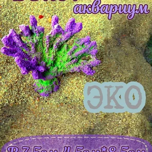 Коралл Веер Мини