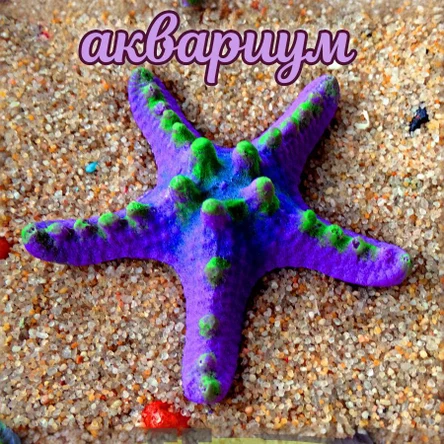 Звезда Мини