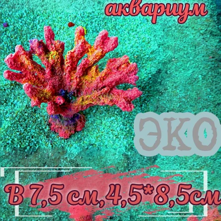 Коралл Веер мини