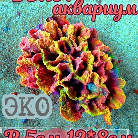 Коралл Стилофора