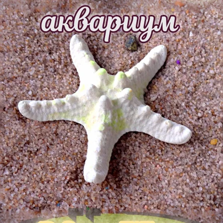 Звезда мини