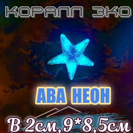 Звезда Морская неон